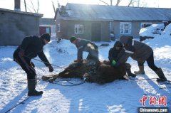 在哈萨克斯坦乡村感受“冬宰”文化