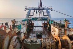 
【大国粮策】深海上的海鲜工厂：数字科技为蓝