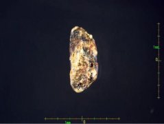 
【大国粮策】作物学：从一粒种子到万千粮仓的